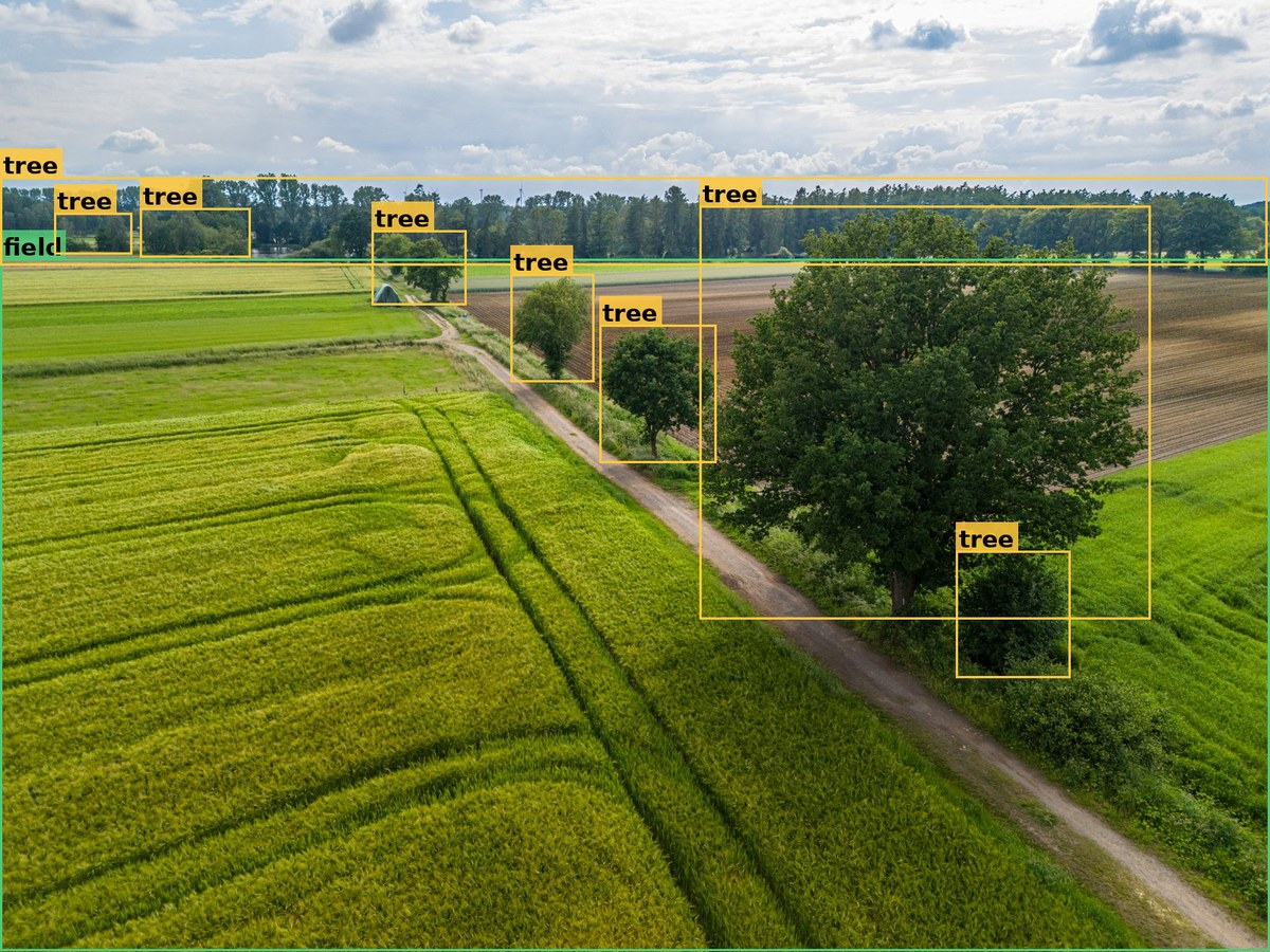 Aerial crop field with 8 trees, 1 tractor, and 1 building detected